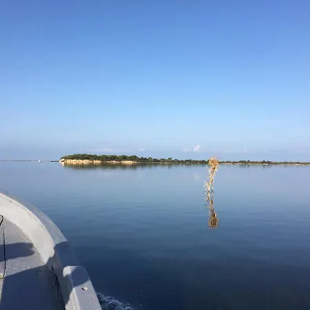 Lo Sparviero Dello Stagnone Birgi Vecchi